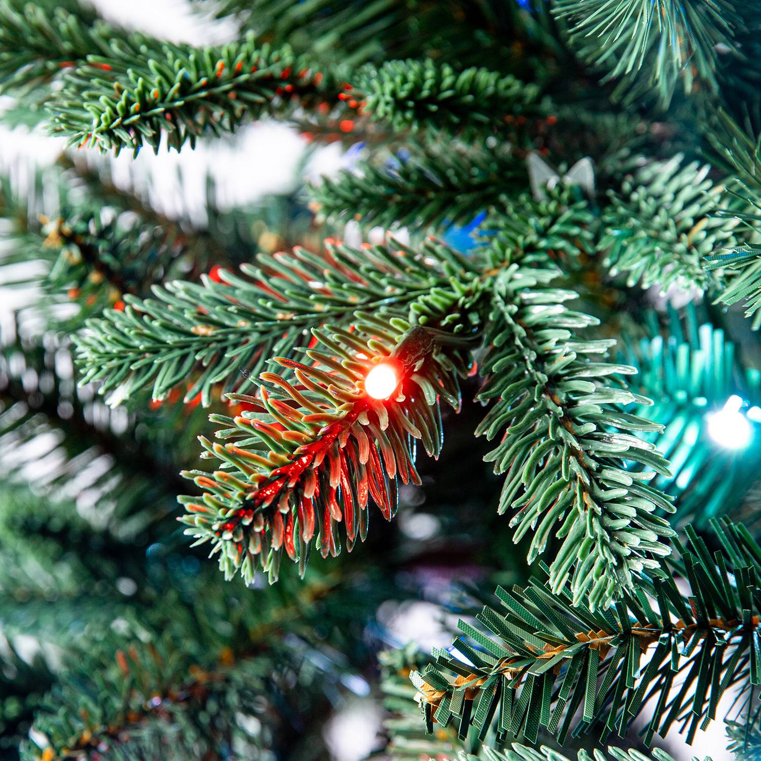Branch close up of Evergreen Classics christmas tree