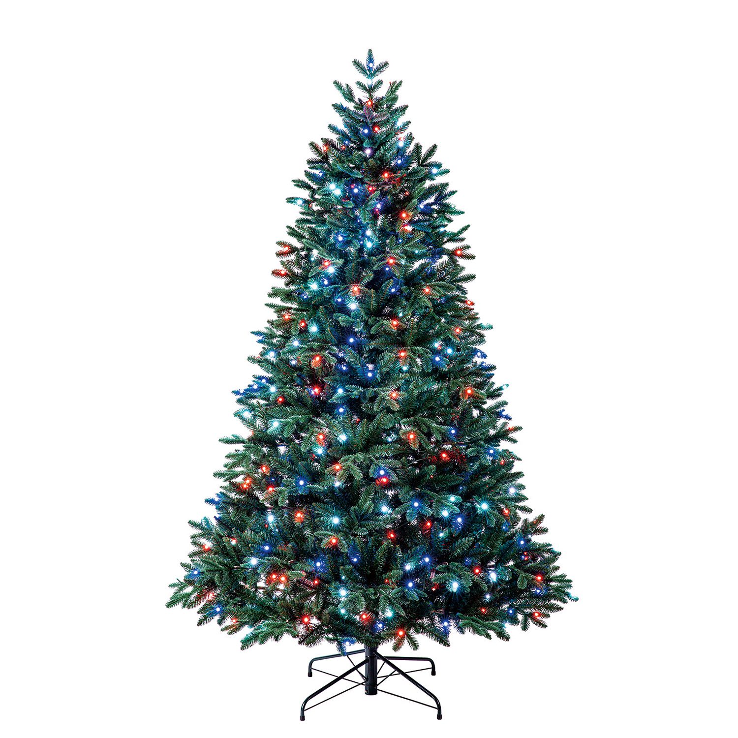 Twinkly Wellington Fir on white background