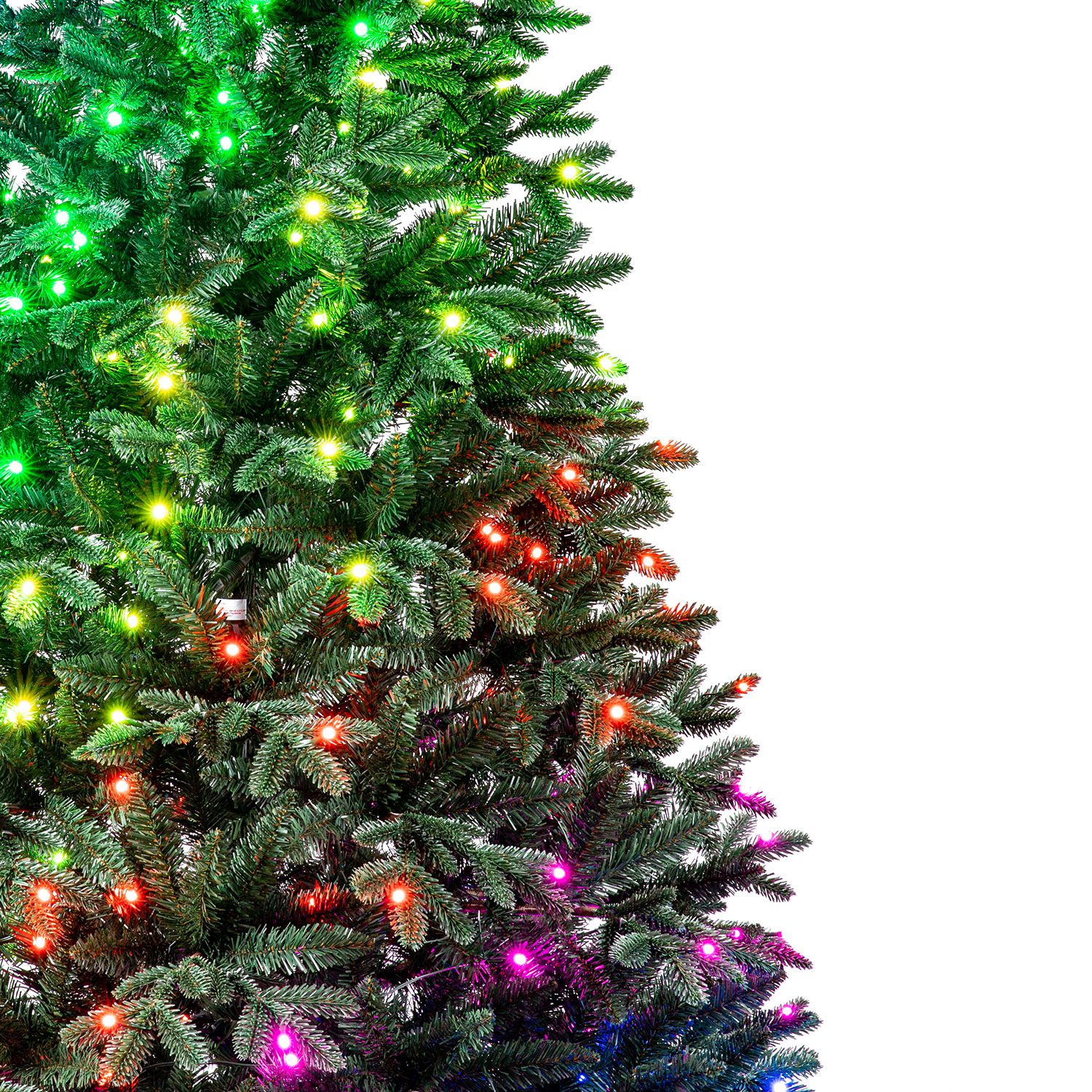 Christmas trees colourful lights